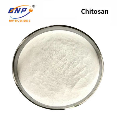 Weißes Chitosan-Pulver-Chitin Nano--Partical mit niedrigem Molekulargewicht