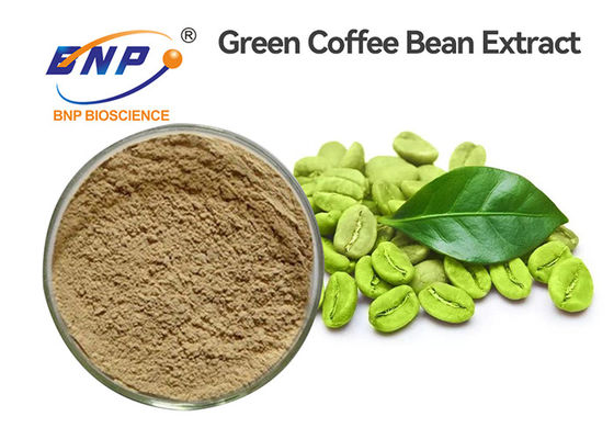 Nahrungsmittelgrad Rohkaffee-Bean Extract Chlorogenic Acids 50%