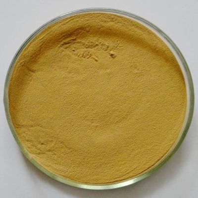 Japonica-Auszug Quercetine-Dihydrat 95% Sophora GMP reines natürliches