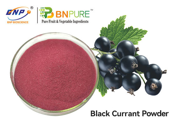 Purpurroter roter Frucht-Auszug Juice Powder Food Grade Ribess Nigrum der schwarzen Johannisbeere