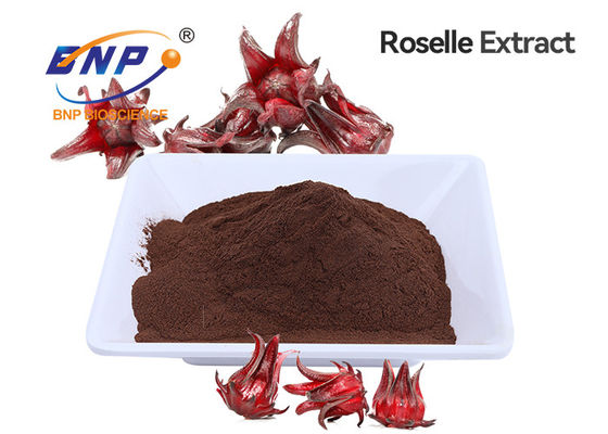 Rotes Pulver Roselle Extract Anthocyaninss Brown