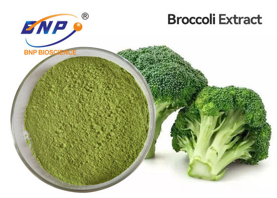 Hellgrüne organische Masche des Brokkoli-Sprösslings-Pulver-Nahrungsmittelgrad-80