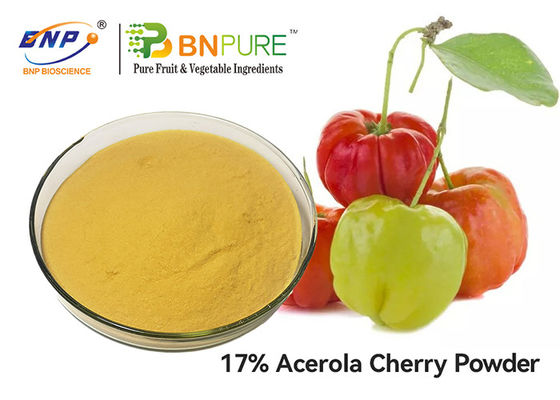 Gmp-Acerola Cherry Extract Powder Vitamin C 5%