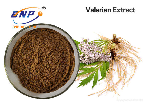 Fabrik-Versorgung 100% natürlicher saurer ValerianValerian Extract