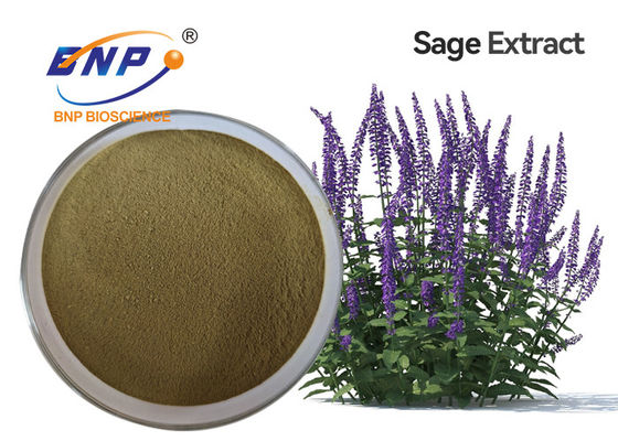 Auszug Hersteller-Supply Sage Extract Powder Clary Sage