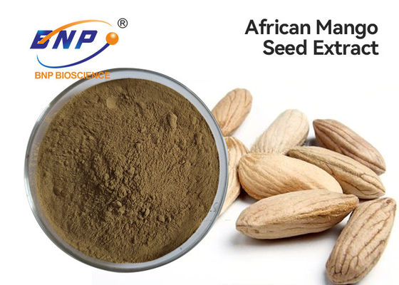 Natürliche Pflanzenauszug-Browns der Flavon-10% Mango-Samen-Pulver gelbes afrikanisches