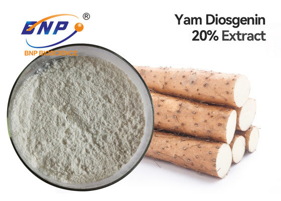 Natürliche Pflanzenauszüge Diosgenin 6% melken weißen wilden Yam Root Powder