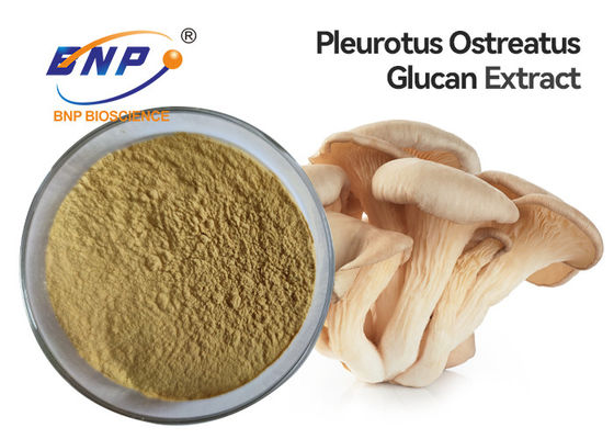 Pleurotus Ostreatus-Austern-Pilz-Auszug-Ergänzungs-Polysaccharid 10%