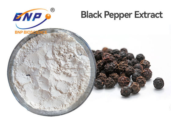 Weißer schwarzer Pfeffer-Auszug-Pulver HPLC Piper Nigrum Fruit Extract Piperine