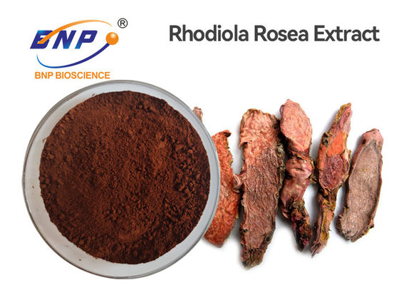 Wurzel Anti-Altern Rhodiola Rosea pulverisieren Auszug 3% Rhodiola Crenulata