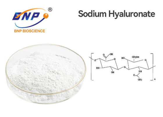 Hyaluronsäure CASs 9004-61-9 pulverisieren 95% Natrium Hyaluronate