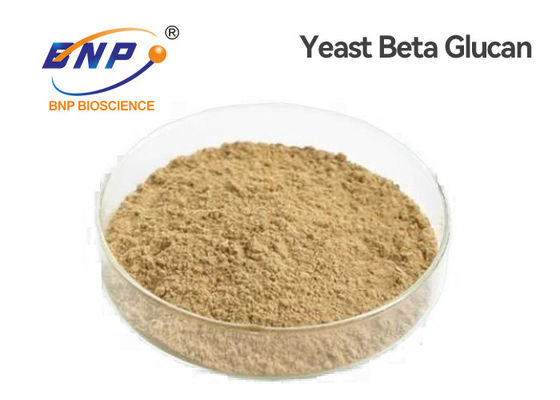 Hellgelbes Polysaccharid pulverisieren 80% Hefe Beta Glucan