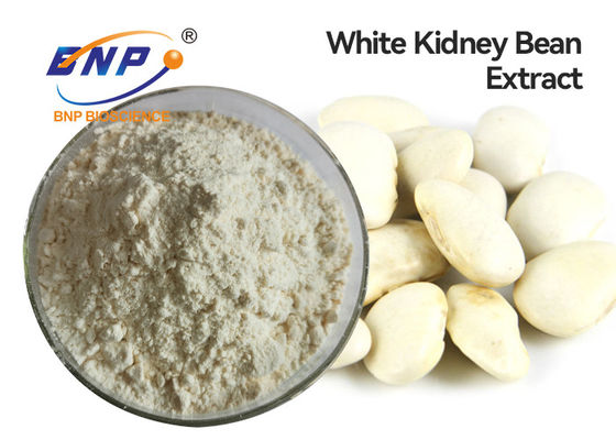 Ernährungsergänzungs-Nieren-Bean Phaseolamin Extract White Weight-Verlust