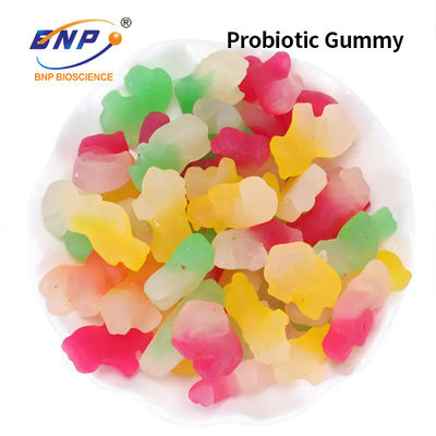 Tägliche Probiotic gummiartige verdauungsfördernde gummiartige Süßigkeits-diätetische Ergänzung Sugar Frees