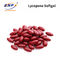 Pharmazeutischer Vertrags-Lykopen Softgel-Lykopen Multivitamin Multimineral Softgel