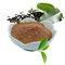 Grüner Tee-Auszug-Tee-Polyphenole 20%-98% Brown, weißes Pulver