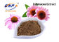 Nahrungsmittelgrad des Echinacea Purpurea-Auszug-Polyphenol-4%