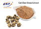 Gelb-Pulver des Cat Claw-Gras Auszug-Alkaloid-3%