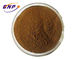 Pulverisieren feiner Cordyceps Pilz-Auszug Browns 50% Polysaccharide