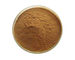Pulverisieren feiner Cordyceps Pilz-Auszug Browns 50% Polysaccharide