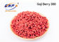 Getrocknetes süßes Geschmack Goji Berry Extract BNP-Chinese Wolfberry-Pulver