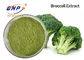 Hellgrüne organische Masche des Brokkoli-Sprösslings-Pulver-Nahrungsmittelgrad-80