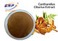 Cantharellus Cibarius-Pilz-Auszug-Pulver gelbes Brown GMP