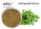 Antibakterieller Auszug Nahrungsmittelgrad Andrographis Paniculata pulverisieren 3%-99% Andrographolide