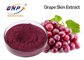 Rote Trauben-Vitis- Viniferasamen-Auszug-Pulver HPLC Resveratrol 5%