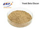 Polysaccharide natürliche Nährstoff-pulverisieren hellgelbe Hefe-Beta Glucans 80% GMP