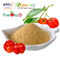 Pharmaindustrie Acerola Cherry Powder Vintamin C 10% GMP bestätigte