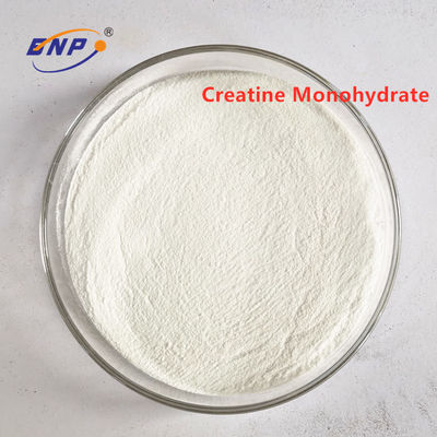 Weißes Kreatin-Monohydrat 200 Mesh-Pulver