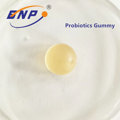 Probiotic gummiartige Süßigkeit Probiotics Gummies für verdauungsfördernde Gesundheit