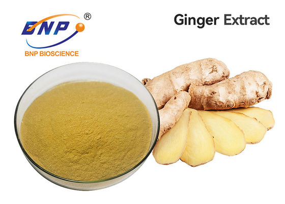 Nahrungsmittelgrad Ginger Root Extract Gingerols 5%-10%