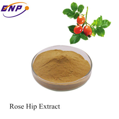 Beste Preis-Versorgung Rose Hip Extract With Vitamin C /Polyphneol von BNP-Fabrik