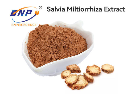 Hochwertige Salvia Root Extract From BNP-Fabrik