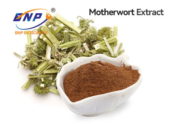 Motherwort-Auszug-Nahrungsmittelgrad-Brown-Pulver
