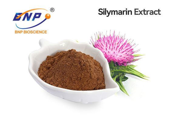 Antioxidansmariendistel-Frucht-Auszug 30% Silybin 80% Silymarin Silybum Marianum