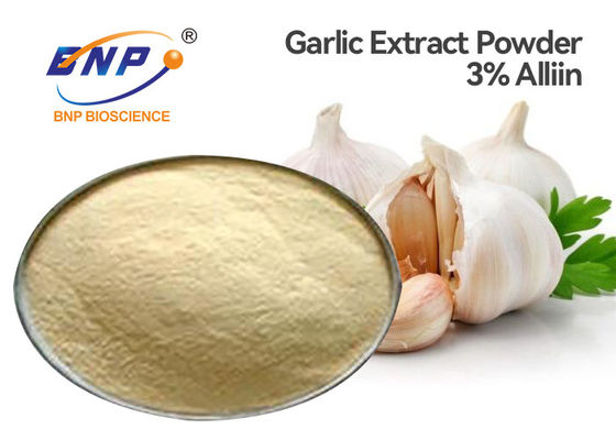 Alivum Sativum L. Garlic Extract pulverisiert 3% Allicin feines Pulver