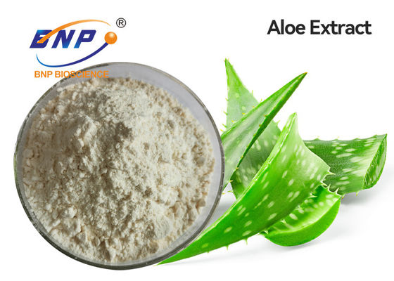 Aloe Vera Extract Aloin Yellow Brown oder dunkelbraunes Pulver
