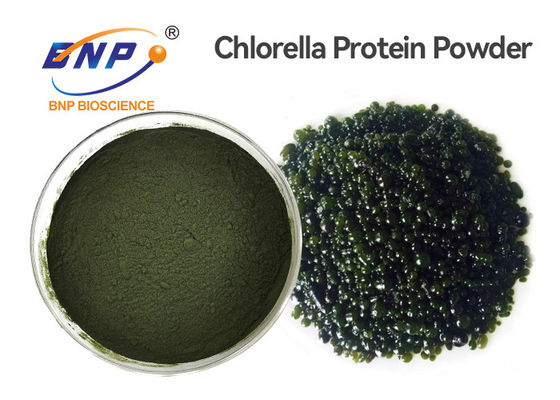 Nahrungsmittelgrad-natürliche Pflanzenauszüge GMP-Chlorella-gemeines Pulver