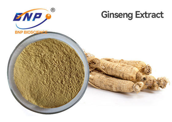 Panax-Ginseng Ca Meyer Natural Plant Extracts Ginsenoside 5%