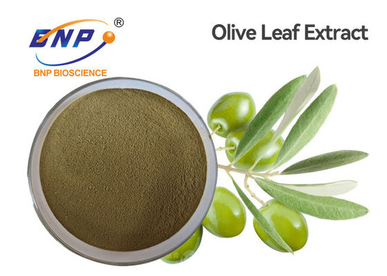Gelbes natürliches Pflanzenauszug-Oleuropein 60% Olive Leaf Extract Powder HPLC Browns