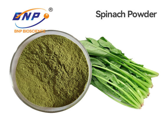 Grüner feiner Spinats-Blatt-Auszug Juice Powder 80 Mesh High Temperature Sterilization