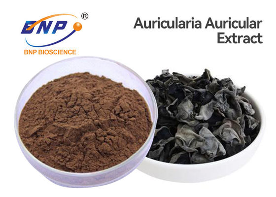 100% pulverisieren natürlicher Pilz-Auszug Auricularia-Aurikel das Ohr des Juden