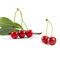 Acerola Cherry Extract Powder Vitamin C Anti-Altern 17% der hohen Qualität
