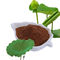 Gewichtsverlust Nuciferin 2%, 98% Lotus Leaf Extract von BNP