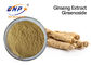 Pflanzenauszug-Brown-Ginseng-Auszug-Pulver Ginsenoside 80% natürliches