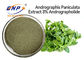 Blatt-Auszug-Pulver 3% Andrographolide natürliches Antivirenergänzungen Andrographis Paniculata