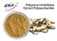Pilz-Auszug-Pulver-Polysaccharide 50% Polyporus Umbellatus-Auszug GMOs freier
